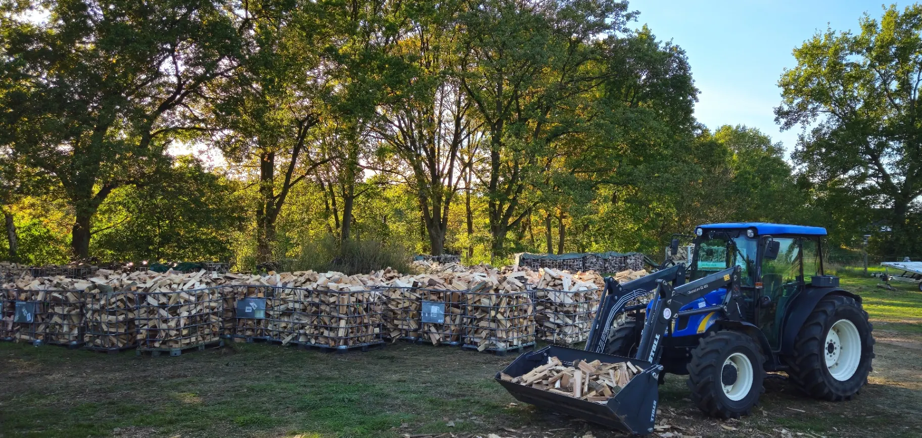 Blauer Traktor vor gefüllten Brennholz-Gitterboxen am Lagerplatz in Münster-Hiltrup.