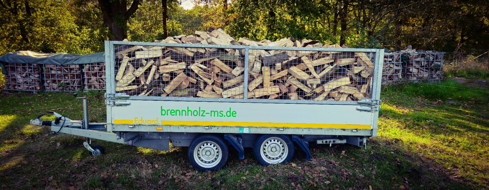 Voll beladener Anhänger mit sauber gestapeltem Brennholz, aufgenommen im Münsterland